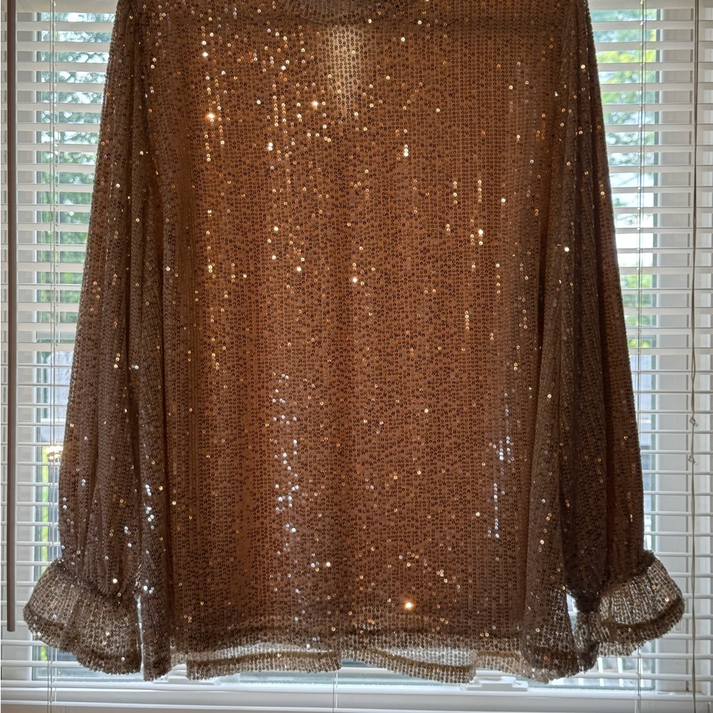 Lane Bryant Sequin Embellished Top